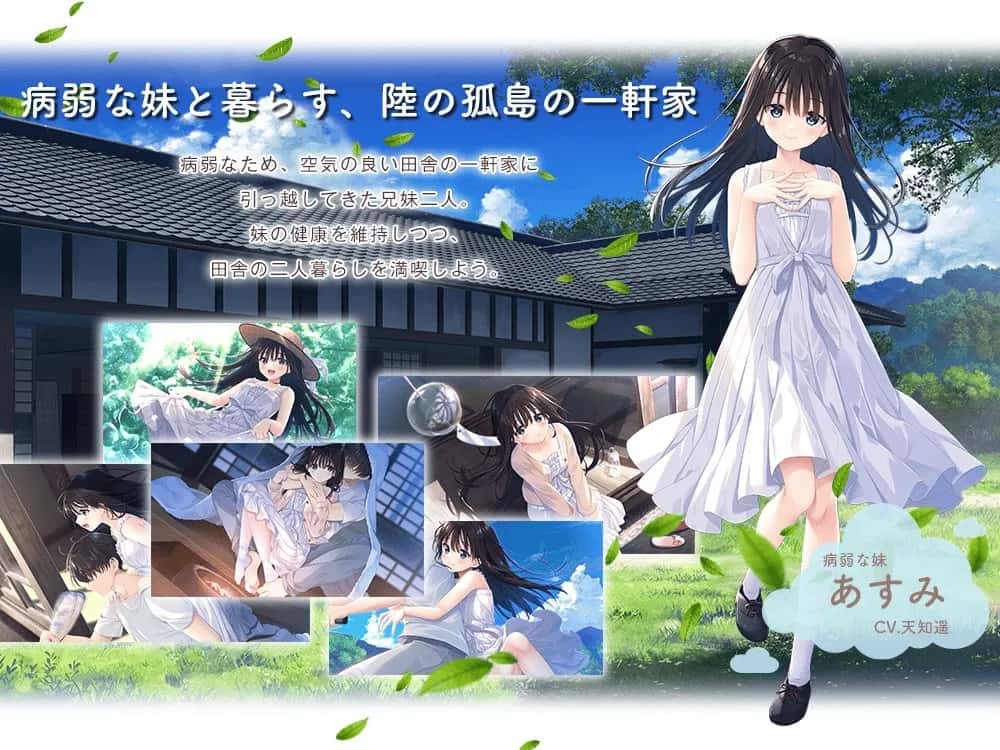 痴情哥哥与病弱妹妹的乡间生活 含新DLC1+2+3+4+5背景